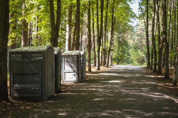 Portable Toilet Options We Offer in Bellwood, IL